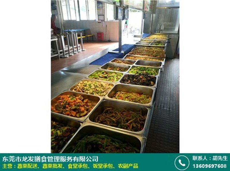 精准选择食堂承包服务，提升员工就餐体验